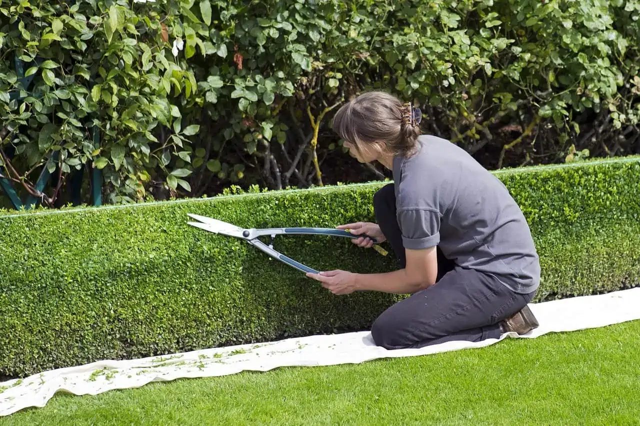 entretine paysager, amenagement et reparation terrain, pave-uni